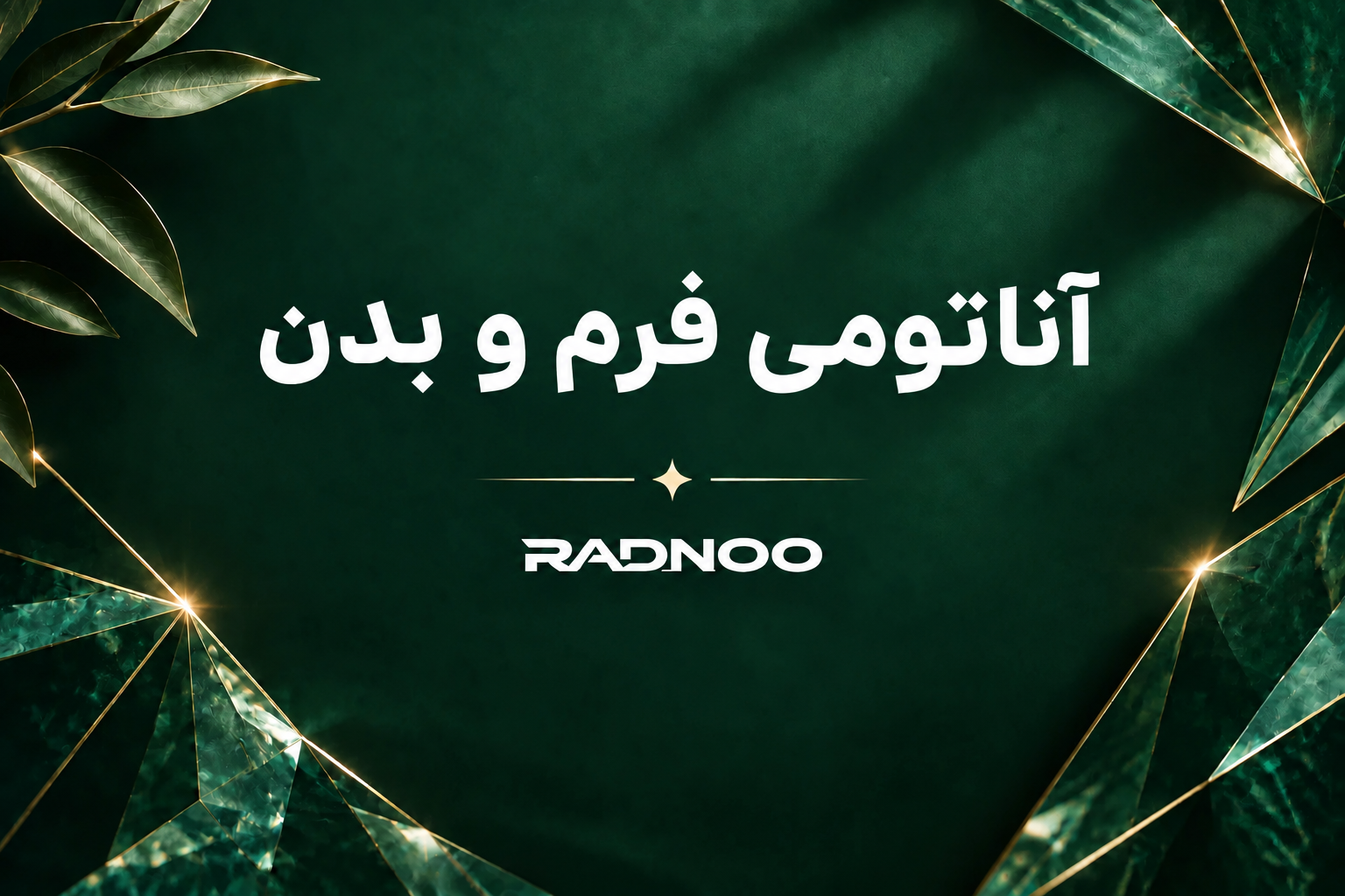 آناتومی فرم و بدن